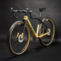 Carbon Gravel Frameset