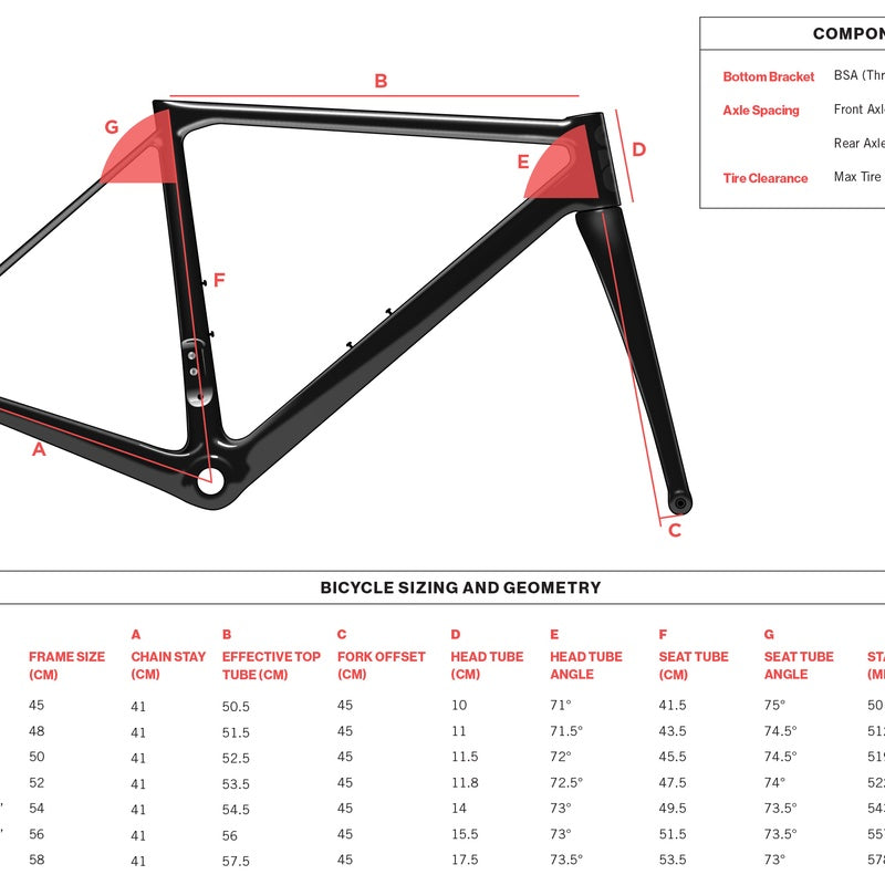 Carbon Road Frameset — Race Geometry