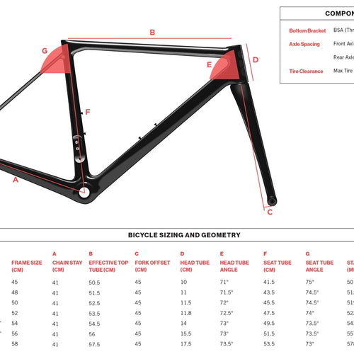 Carbon Road Frameset — Race Geometry